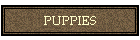 PUPPIES
